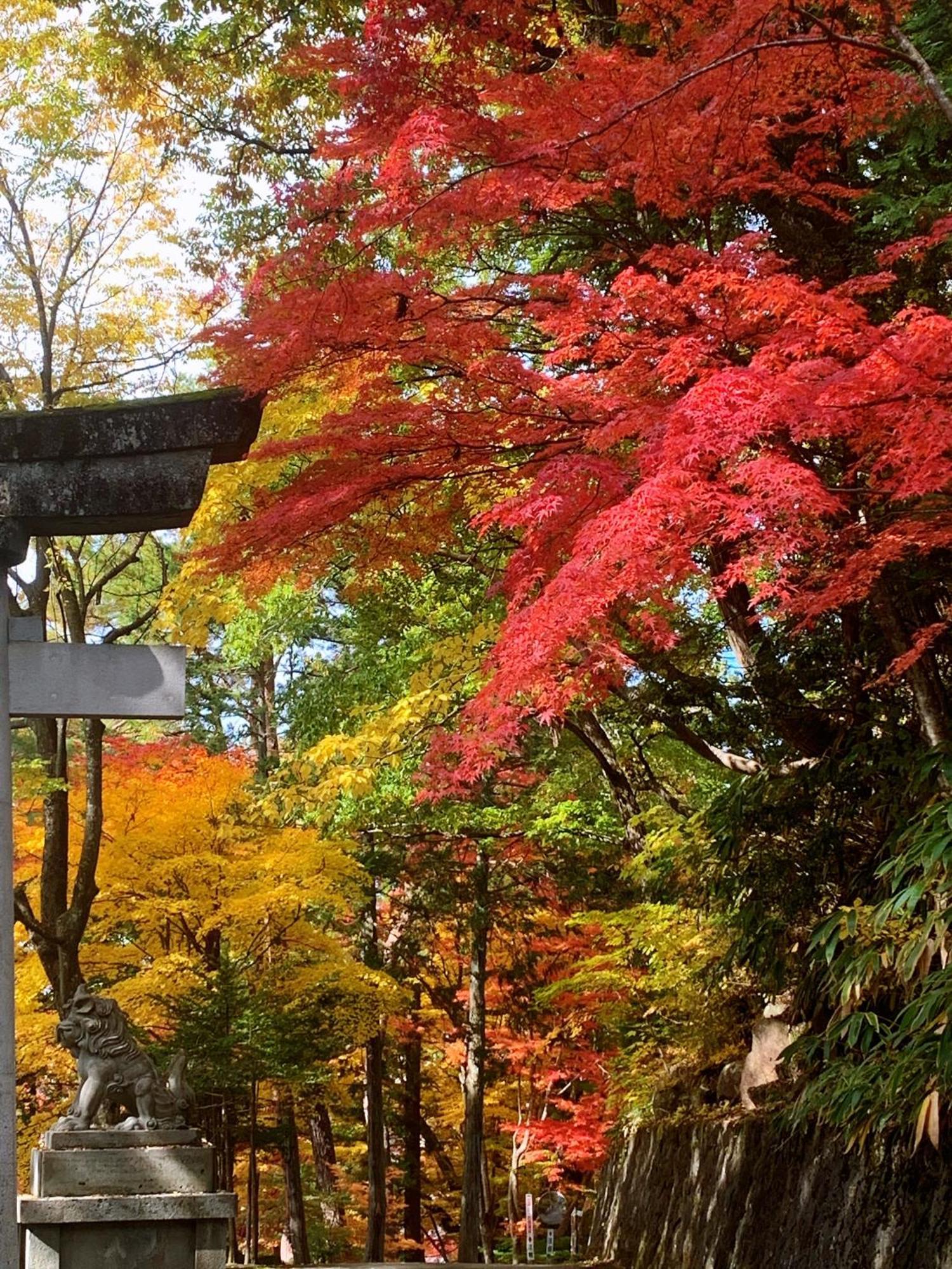 吉祥莊 Villa ทาคายาม่า ภายนอก รูปภาพ